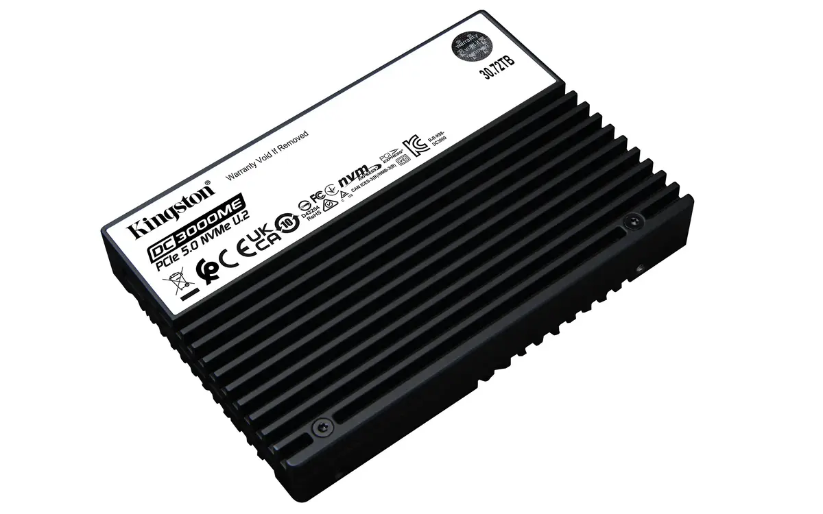 Корпоративный SSD Kingston DC3000ME 30.7ТБ Photo 3