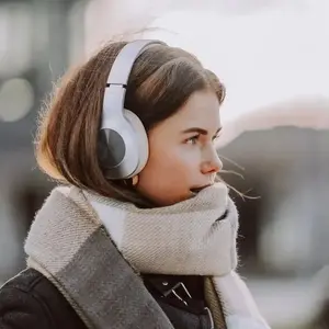 Беспроводные наушники Soundliving Soul серебристого цвета