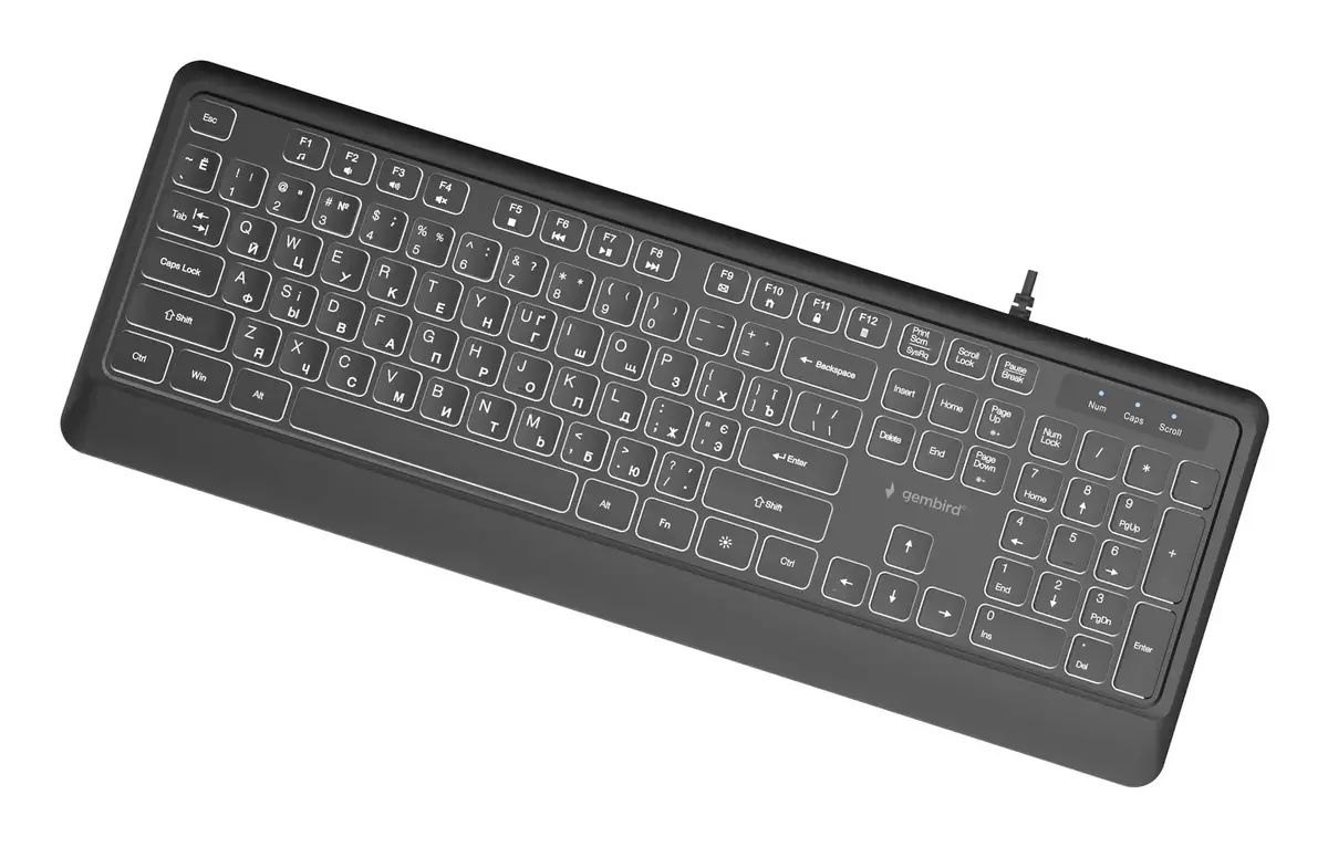 Проводная клавиатура Gembird KB-UML-04-CYRL Slim Photo 2