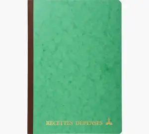 Le Dauphin 3931D grāmatvedības reģistra papīrs, A4, 95 g/m², zaļš, 10 loksnes