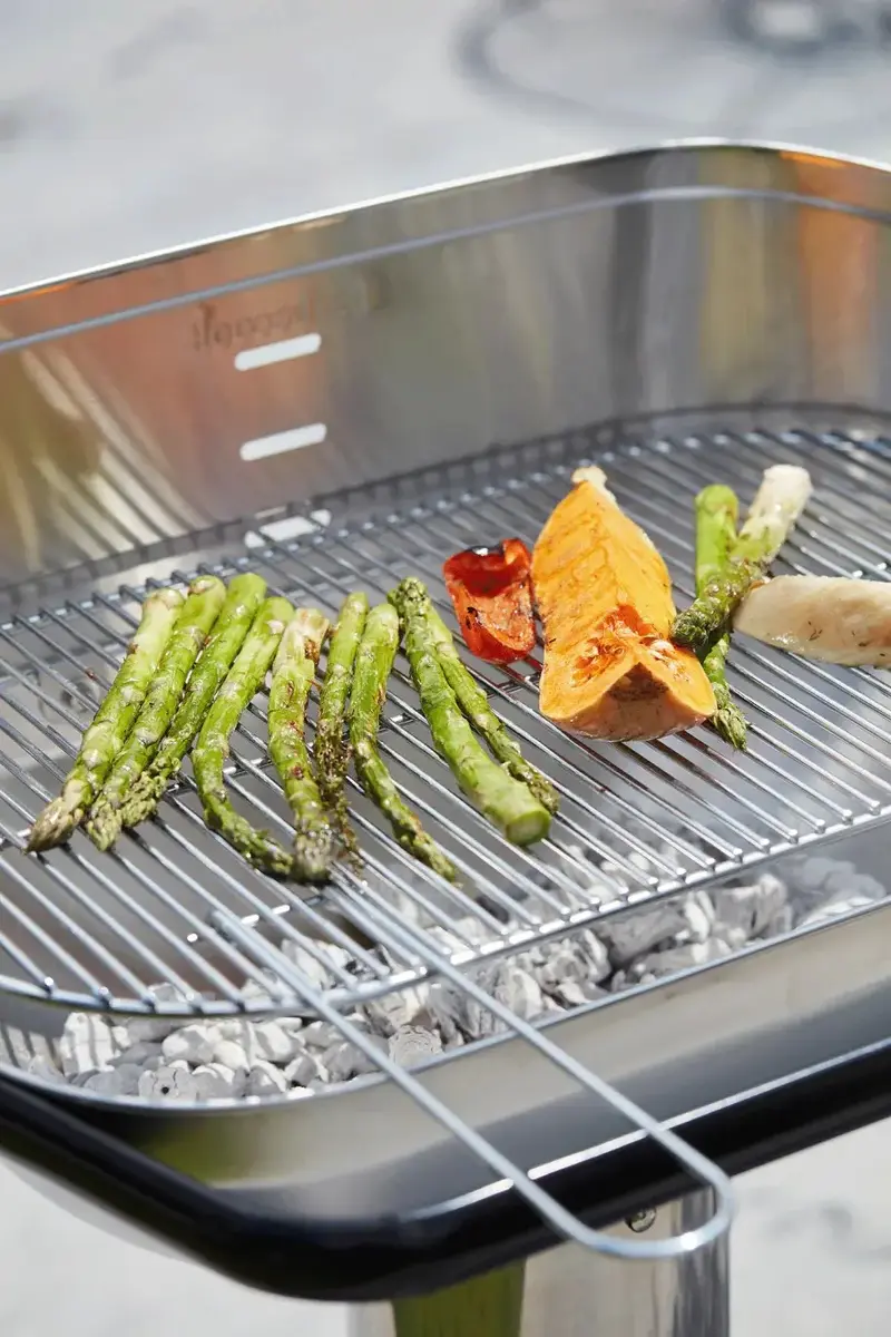 Угольный гриль Barbecook Loewy 55 SST Photo 6