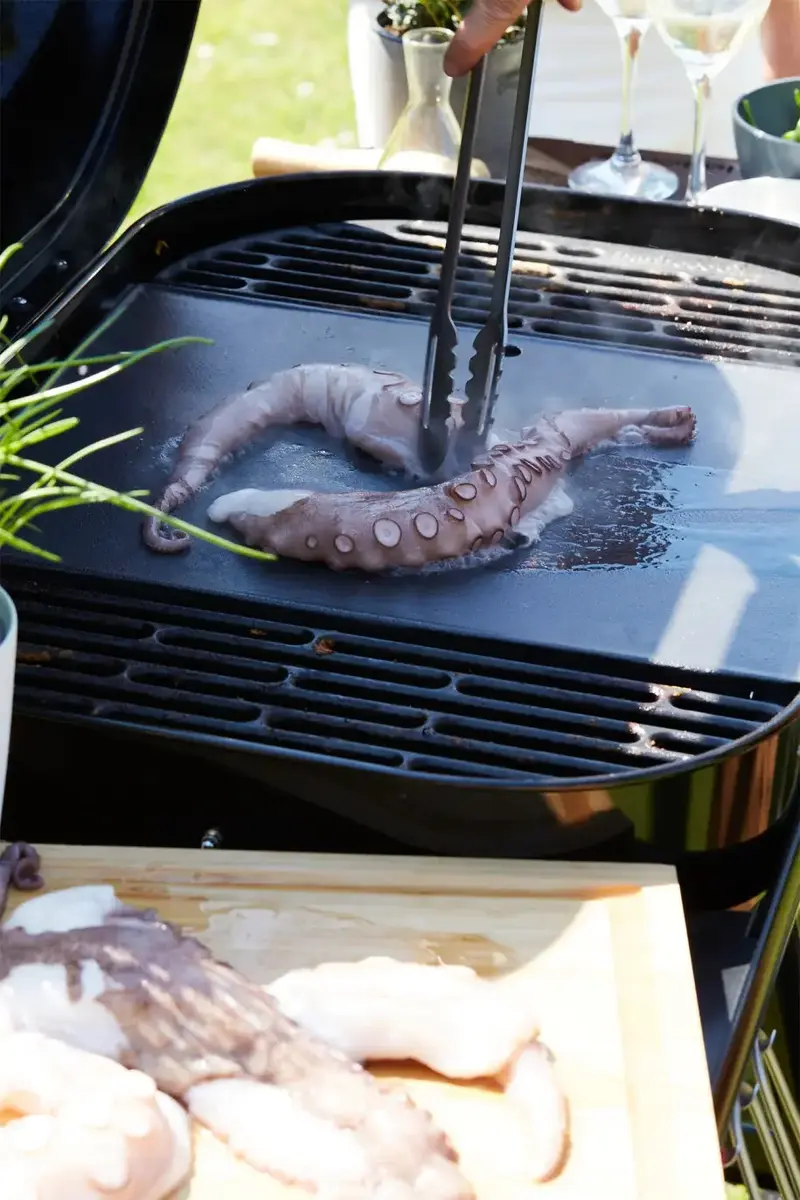Barbecook Magnus Premium ogļu grils Photo 3