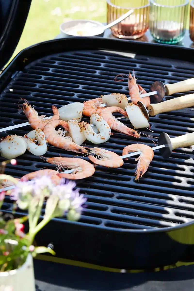 Barbecook Magnus Premium ogļu grils Photo 4