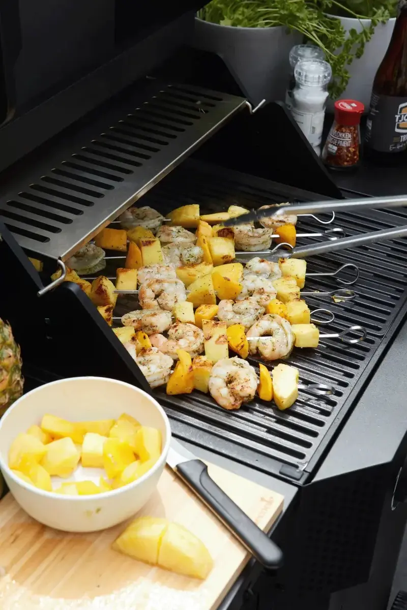 Электрический гриль Barbecook E-Luca Photo 3