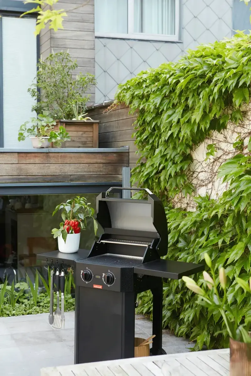 Электрический гриль Barbecook E-Luca Photo 5