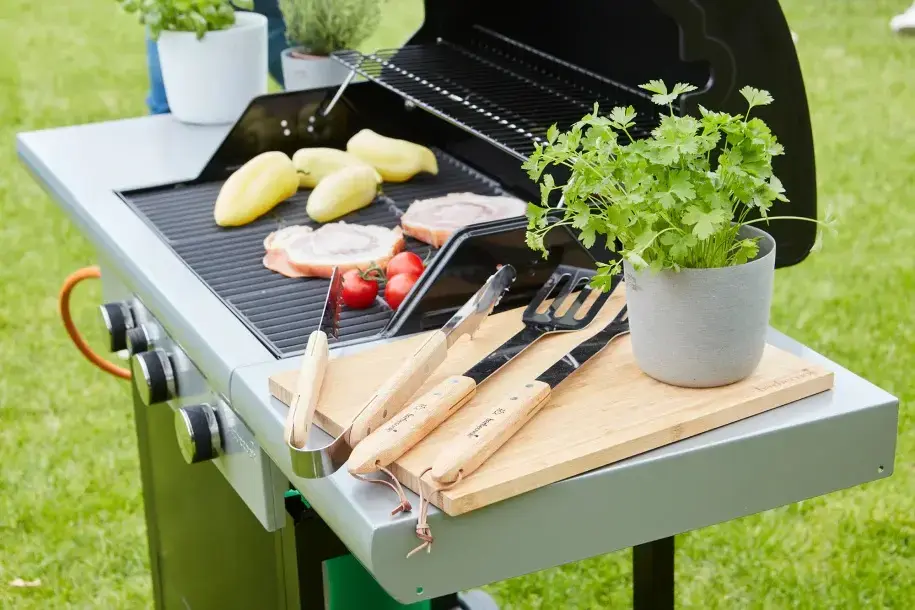 Газовый гриль Barbecook Spring 3112 Photo 5