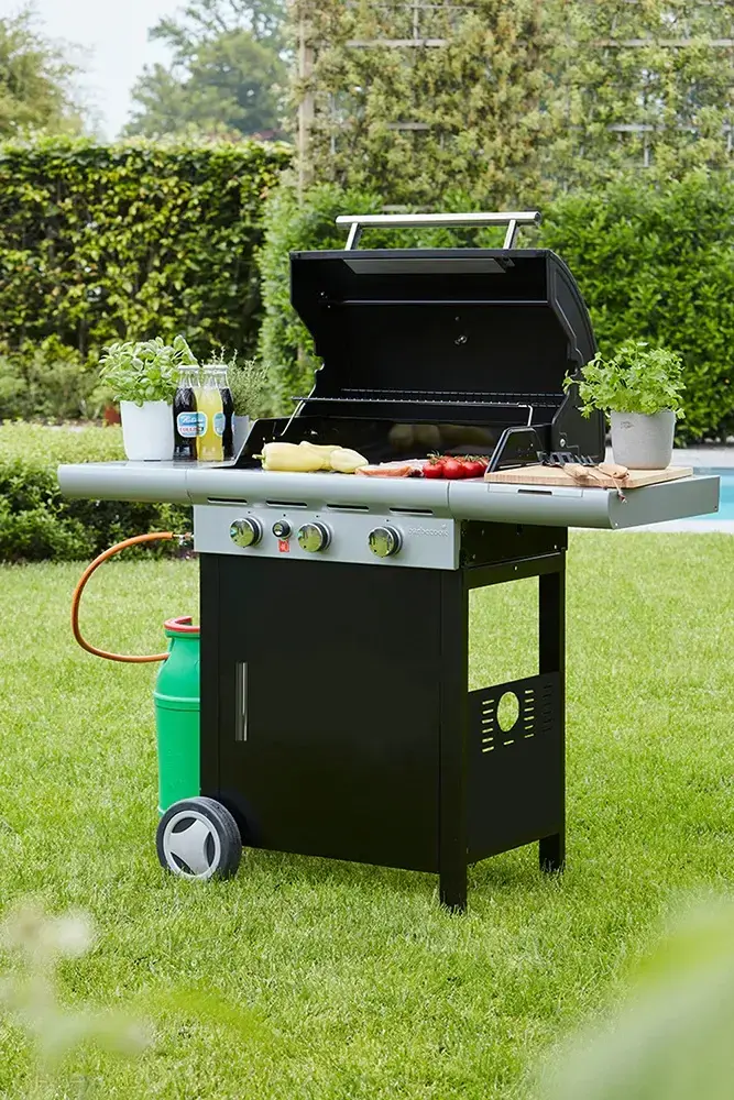 Газовый гриль Barbecook Spring 3112 Photo 6
