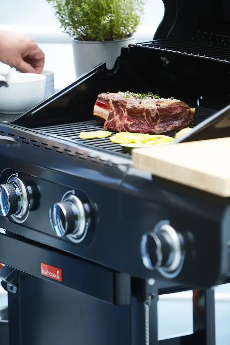 Газовый гриль Barbecook Siesta 210 Graphite Photo 2