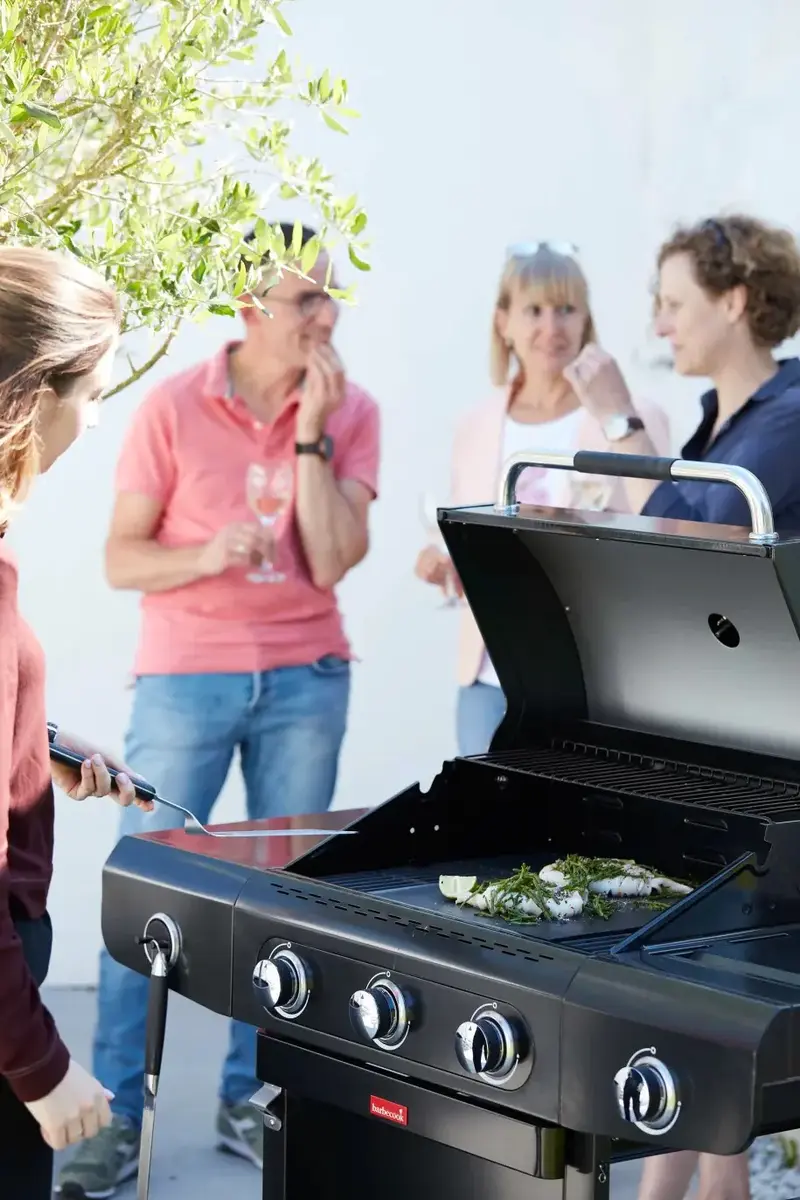 Газовый гриль Barbecook Siesta 310 Graphite Photo 5