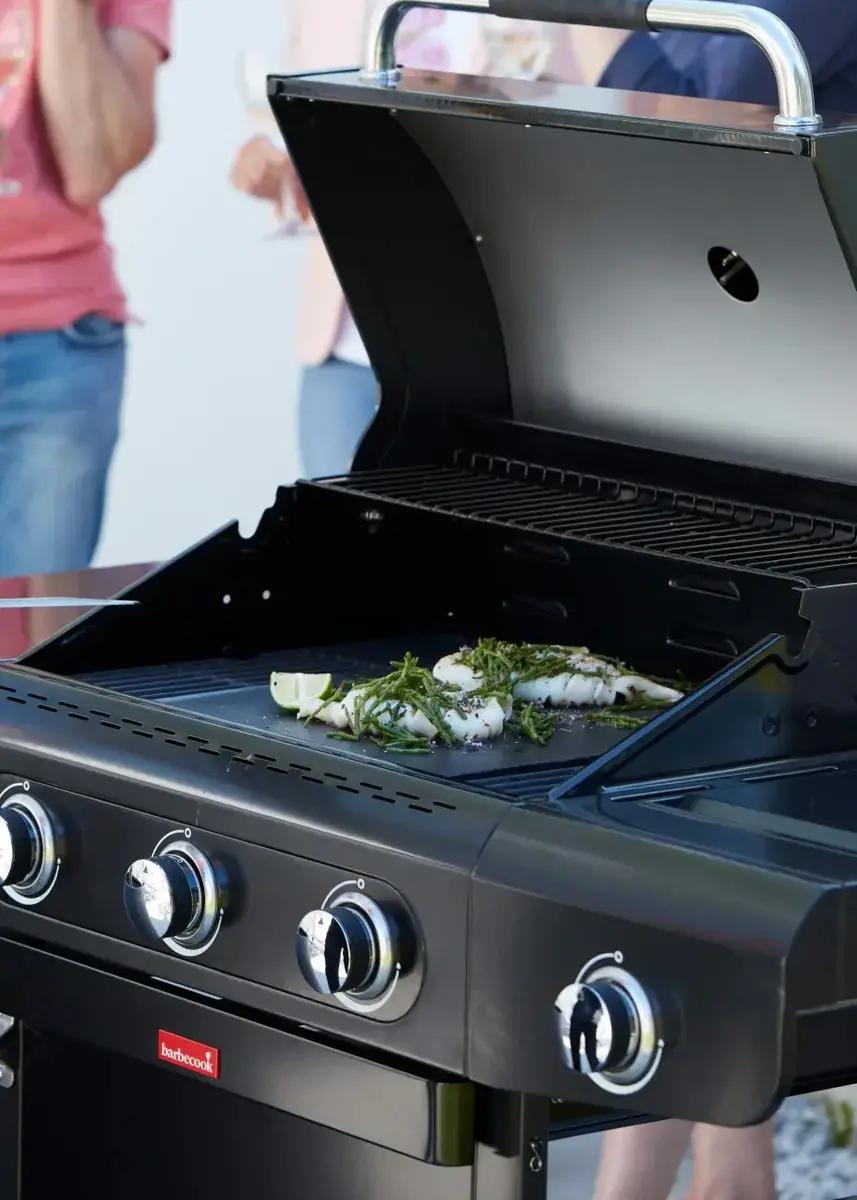 Газовый гриль Barbecook Siesta 412 Graphite Photo 2