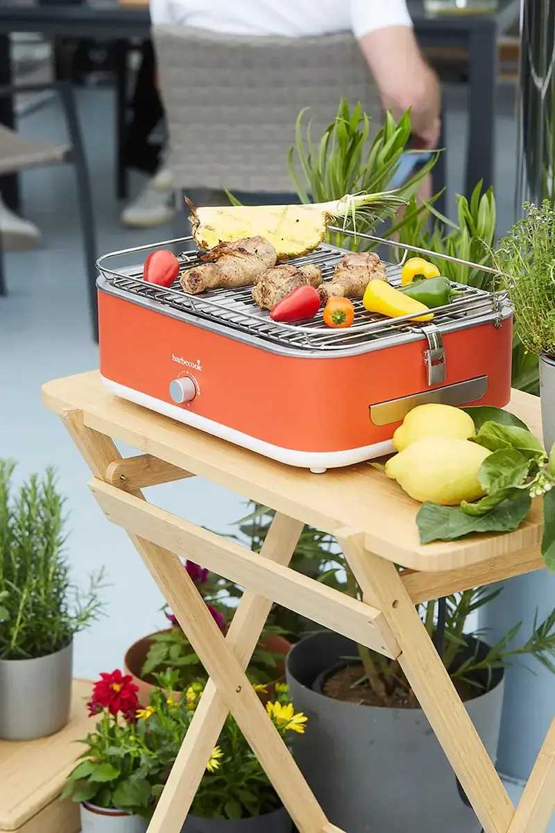 Электрический гриль Barbecook E-Carlo | 2500 Вт Photo 3