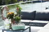 Электрический гриль Barbecook E-Carlo | 2500 Вт Photo 4