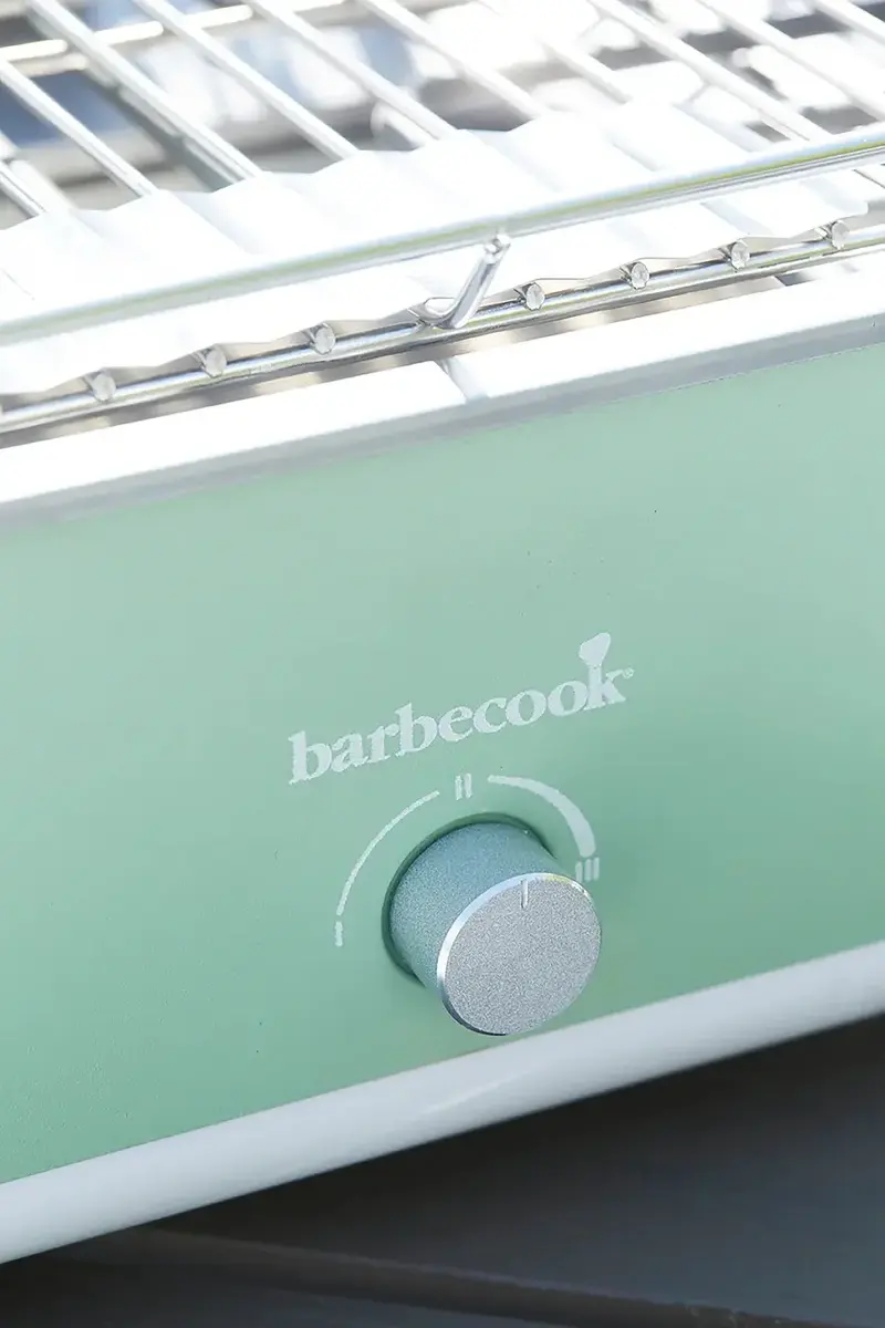 Электрический гриль Barbecook E-Carlo | 2500 Вт Photo 5