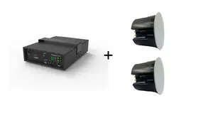Vivolink Audiopack 2.1 Channel Speaker System with 6.5-inch Subwoofer and 2 Ceiling Speakers, 110W, Black