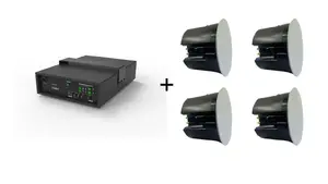 Vivolink Audiopack 2.1 Channel Speaker System with 6.5-inch Subwoofer and 4 Ceiling Speakers, 110W, Black