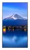 Профессиональный дисплей Sharp MultiSync P556 55" 4K Photo 10