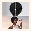 Dyson Supersonic Travel hair dryer 492457-01 Photo 12