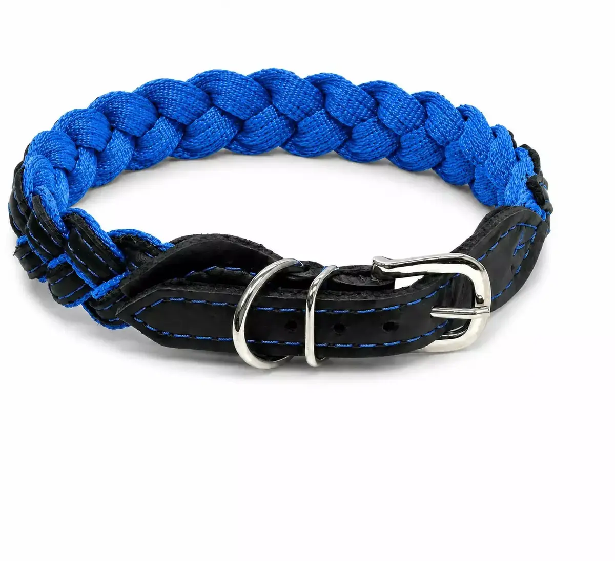 Suņu kaklasiksna Barry King Blue Storm