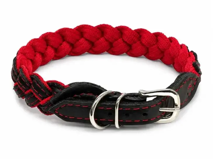 Suņu kaklasiksna Barry King Inferno Braid