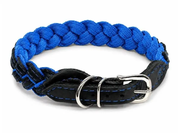 Suņu kaklasiksna Barry King Blue Storm