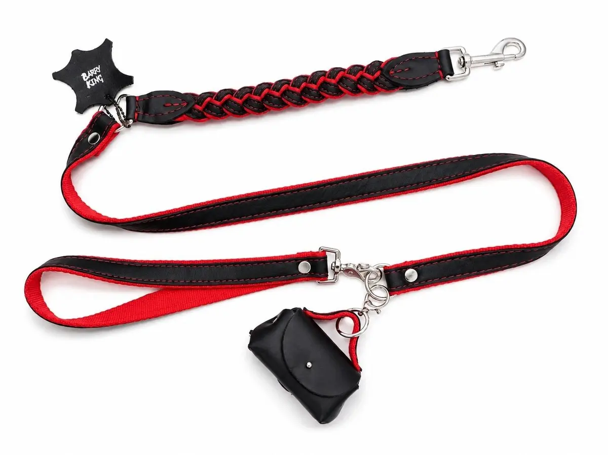 Barry King Inferno Braid pīta suņu