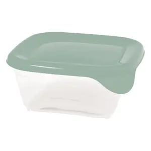 Curver Fresh&Go Square Food Container 0.25L Green