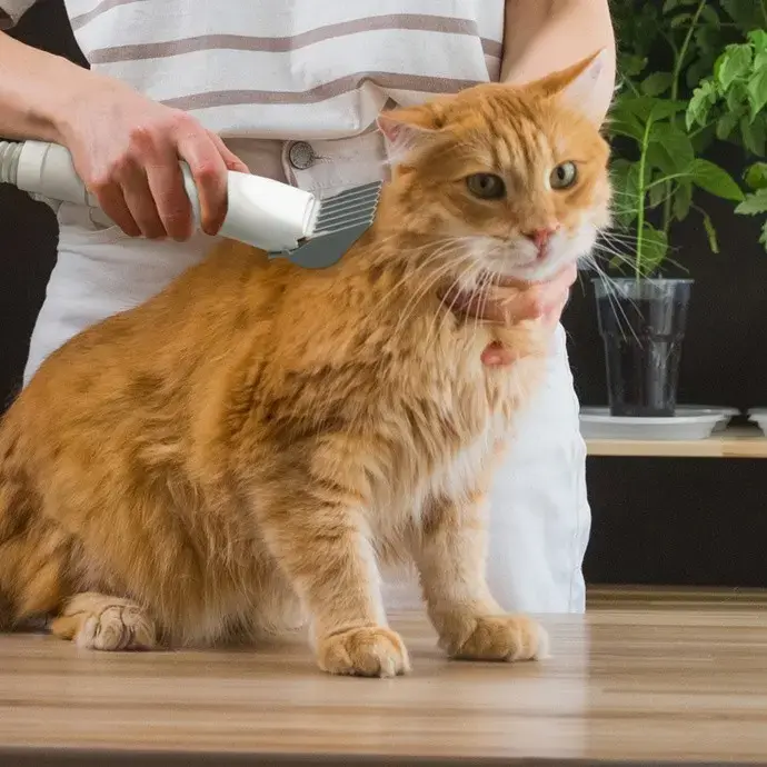 Technaxx LX-052 Pet Grooming Kit Photo 7
