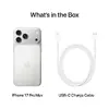 Смартфон Apple iPhone 17 Pro Max 256GB серебристый Photo 6