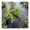 Компостируемая садовая пленка BioBag BioAgri 1.2 x 7 м Photo 2