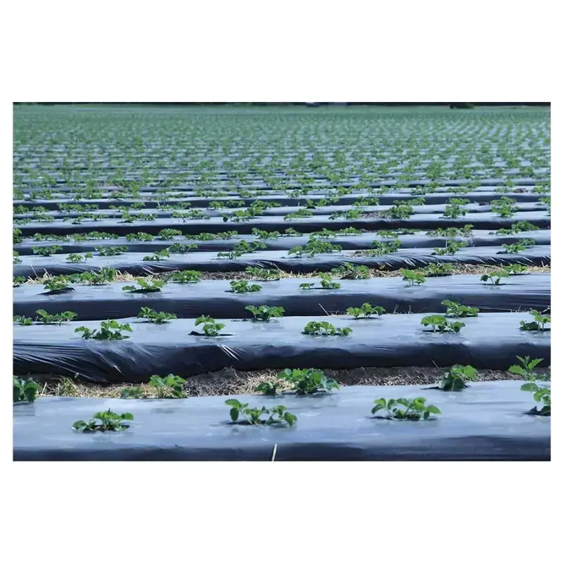 Компостируемая садовая пленка BioBag BioAgri 1.2 x 7 м Photo 3