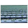 Компостируемая садовая пленка BioBag BioAgri 1.2 x 7 м Photo 3