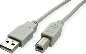 Secomp USB 2.0 Cable, Type A to Type B, 4.5 m, Beige