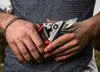 Секатор Felco 8 с наковаленкой Photo 2