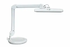 MAUL 8205902 LED Table Lamp, 6500 K, White