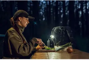 Налобный фонарь Armytek Crystal Pro UV Red 200 лм
