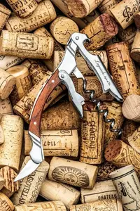 Laguiole Corkscrew Rose SdV