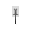 Statīvs MULTIBRACKETS M Display Stand 180 Single Photo 14