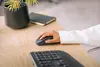Logitech Signature Comfort Plus M850 L bezvadu pele Photo 13