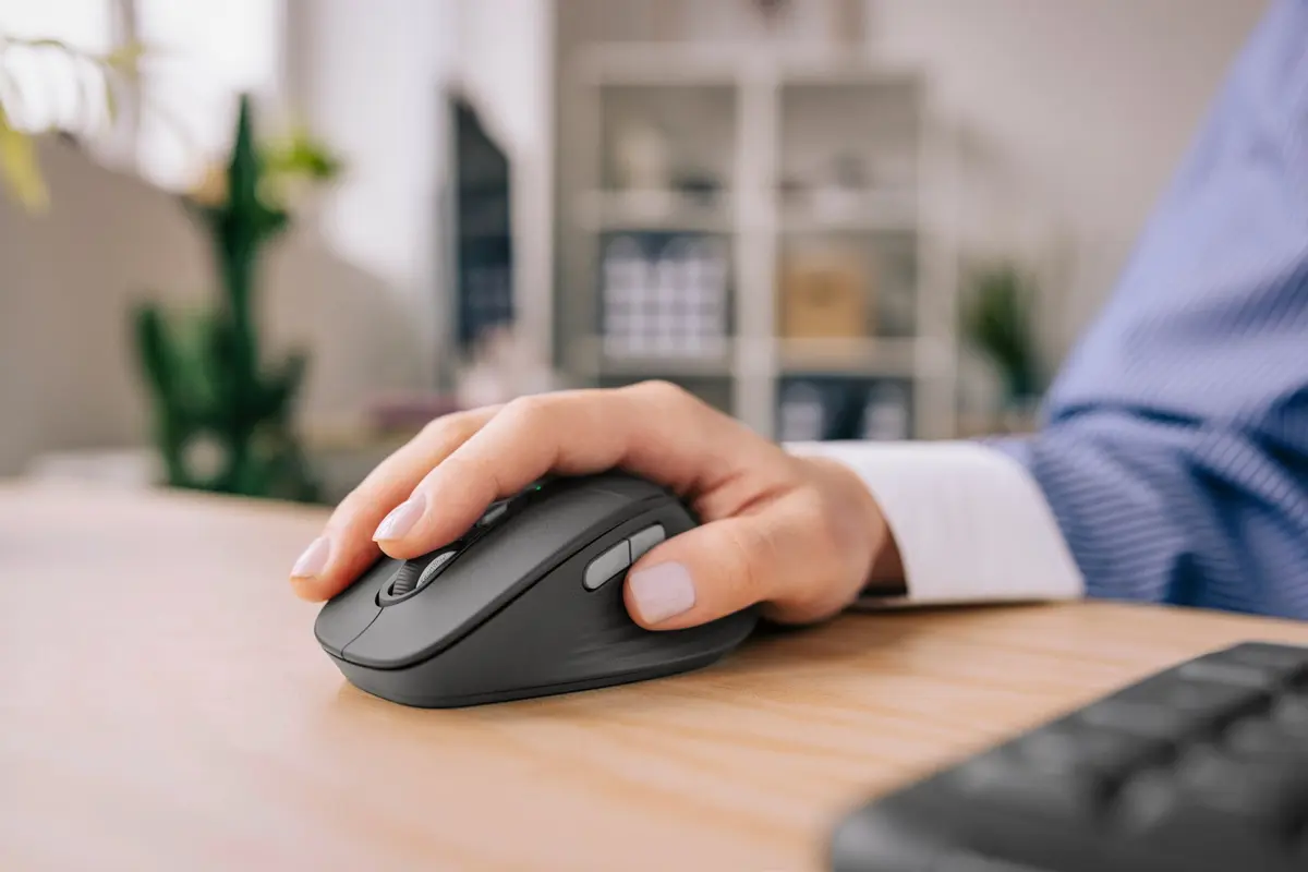 Logitech Signature Comfort Plus M850 L bezvadu pele Photo 15