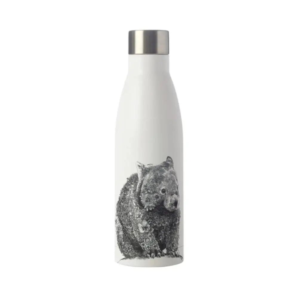 Sports Bottles
