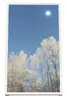Настенный корпус HI-ND для дисплеев 75 дюймов, белый Photo 2