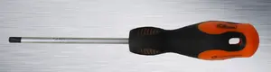 Corona TORX T25 skrūvgriezis 100 mm