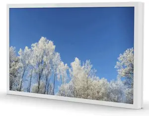 HI-ND WC6500-0201-51 Wall Casing Protective Enclosure for 65-inch Displays, Landscape, White