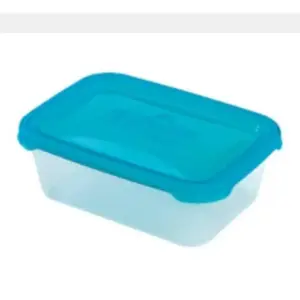 Heidrun Polar Frost Food Storage Container 1.2L, Transparent with Blue Lid