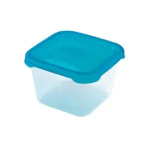 Heidrun Polar Frost Food Storage Container 1.2L, Transparent with Blue Lid