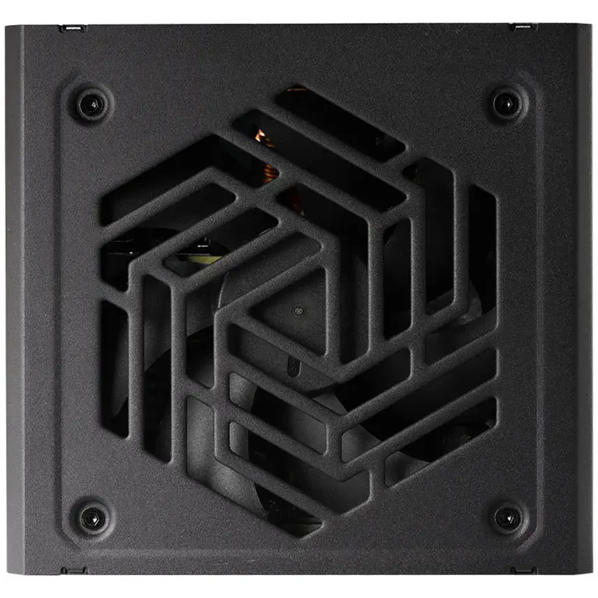 Fortron VITA PM 850W блок питания (PSU) Photo 4
