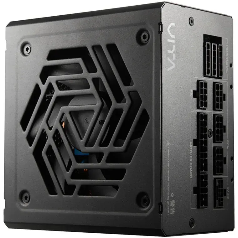 Fortron VITA PM 850W блок питания (PSU) Photo 5