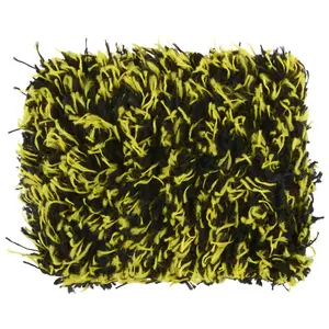 DUNLOP Insect Removal Sponge 2-in-1 for Car Exterior