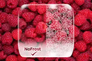 Технология NoFrost предотвращает образование льда