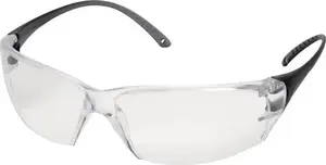 Delta Plus MiLOiN Polycarbonate Single-Lens Safety Glasses Clear